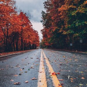 Work With Me product2 free img.jpg