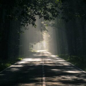 Work With Me product3 free img.jpg